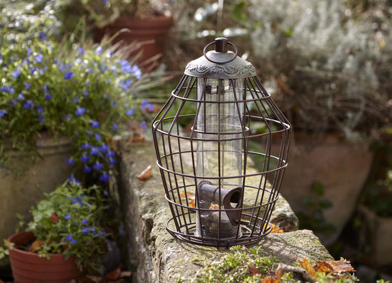 Squirrel Proof Seed Feeder Charnleys Home Garden Centre